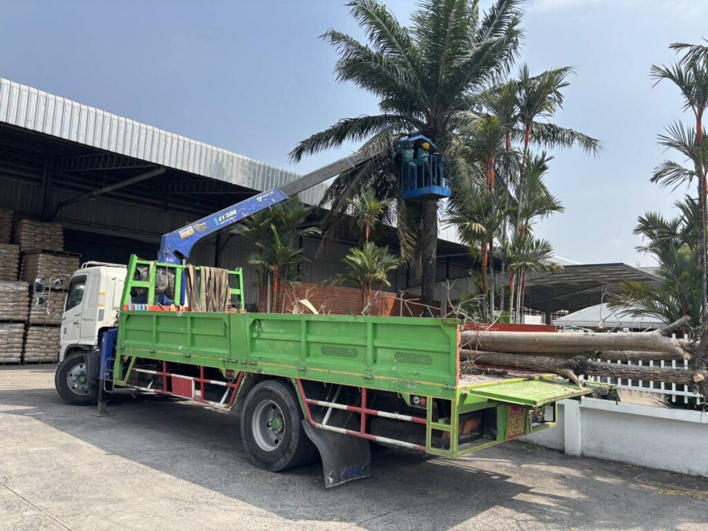 รถเฮี๊ยบติดกระเช้า-พิชยาเครน